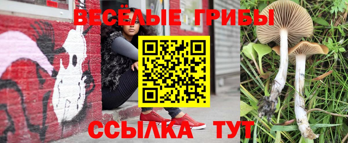 Галлюциногенные грибы GOLDEN TEACHER Черногорск