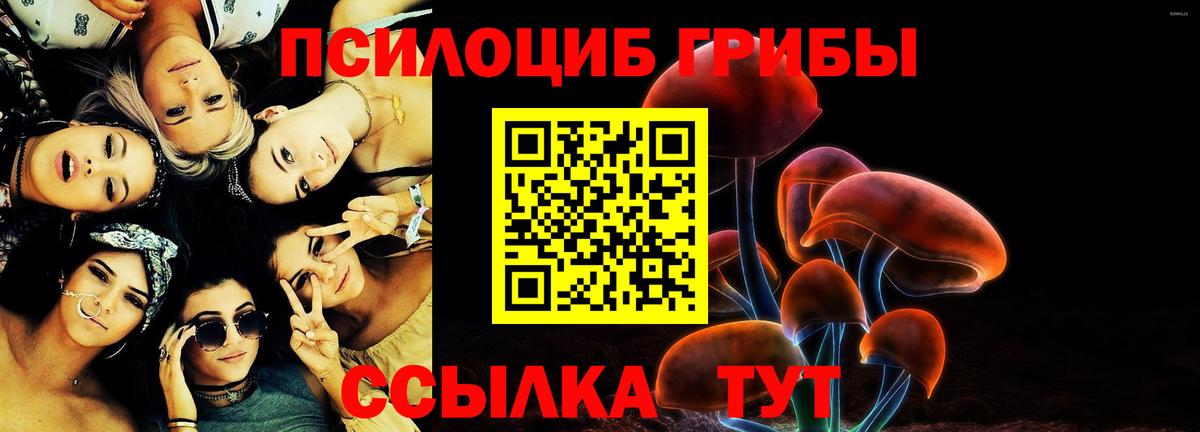 Псилоцибиновые грибы мухоморы  Псилоцибиновые грибы MAGIC MUSHROOMS  Вход с VPN  Черногорск 